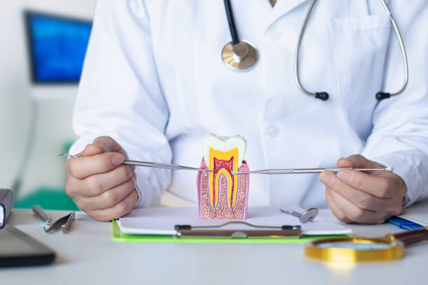 Best Emergency Dental Care for Broken or Chipped Teeth in New London, TX